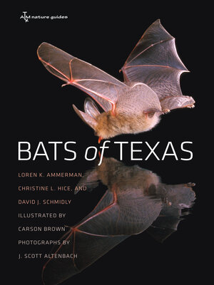 cover image of Bats of Texas